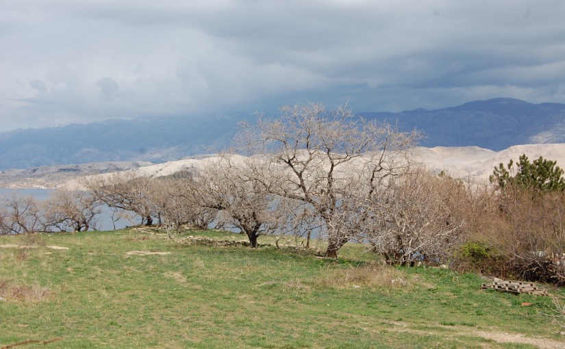 Dubrava Hanzina, Pag, Kroatien