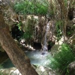 Paradies im Messenien am Peloponnes